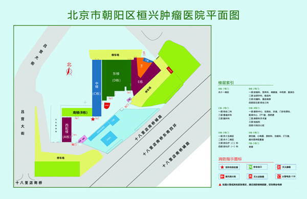 大鸡吧橾女生视频北京市朝阳区桓兴肿瘤医院平面图